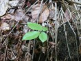 /album/galerie-photos/profil-jpg/