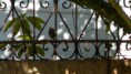 /album/galerie-photos/p1150581-jpg/