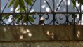 /album/galerie-photos/p1150582-jpg/